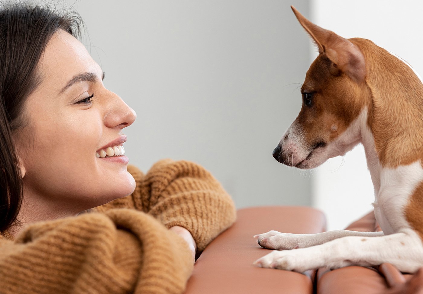 Allergy relief solutions designed to minimize skin irritation in pets